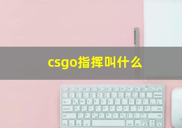 csgo指挥叫什么