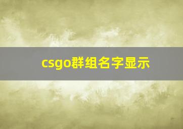 csgo群组名字显示