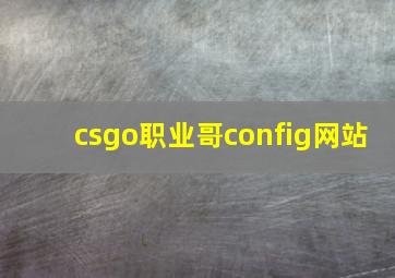 csgo职业哥config网站