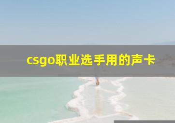 csgo职业选手用的声卡