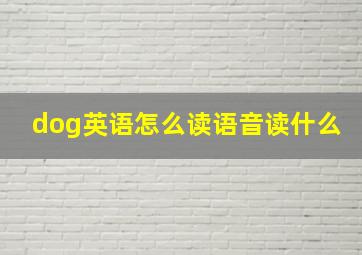 dog英语怎么读语音读什么