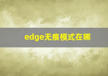 edge无痕模式在哪