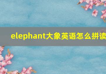 elephant大象英语怎么拼读