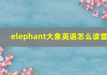 elephant大象英语怎么读音