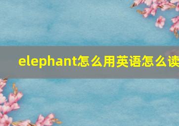 elephant怎么用英语怎么读