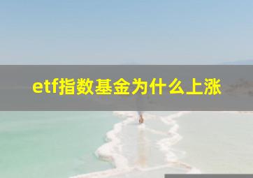 etf指数基金为什么上涨