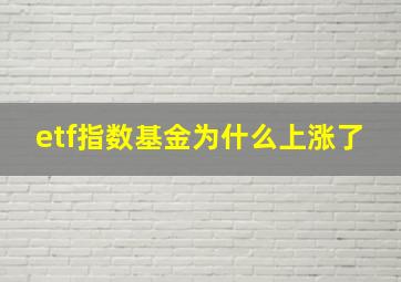 etf指数基金为什么上涨了