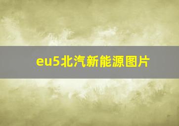 eu5北汽新能源图片