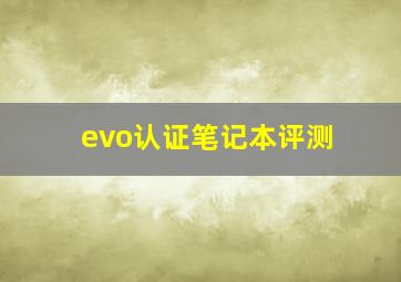 evo认证笔记本评测