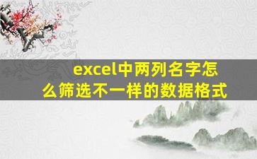 excel中两列名字怎么筛选不一样的数据格式