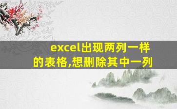 excel出现两列一样的表格,想删除其中一列