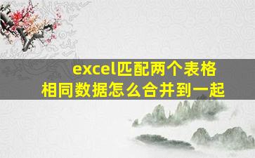 excel匹配两个表格相同数据怎么合并到一起