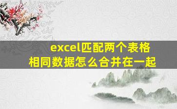 excel匹配两个表格相同数据怎么合并在一起