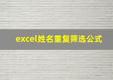 excel姓名重复筛选公式