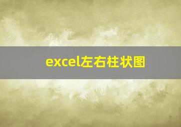 excel左右柱状图