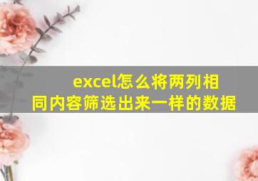 excel怎么将两列相同内容筛选出来一样的数据