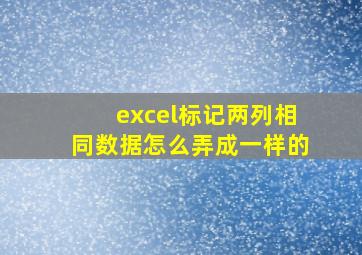 excel标记两列相同数据怎么弄成一样的