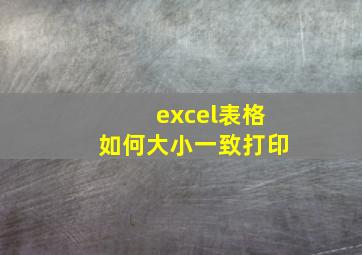 excel表格如何大小一致打印