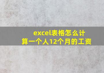 excel表格怎么计算一个人12个月的工资