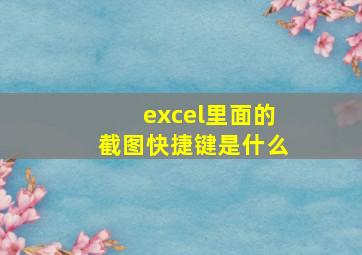 excel里面的截图快捷键是什么