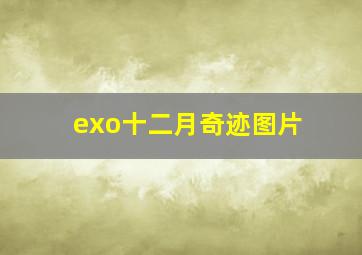 exo十二月奇迹图片