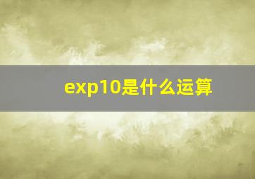 exp10是什么运算