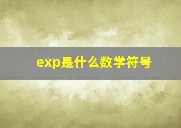 exp是什么数学符号