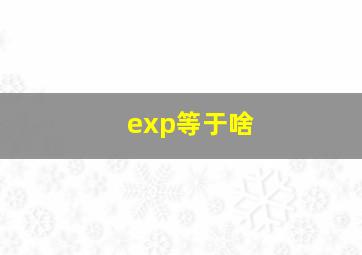 exp等于啥