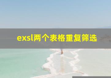 exsl两个表格重复筛选