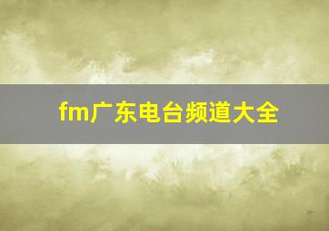 fm广东电台频道大全