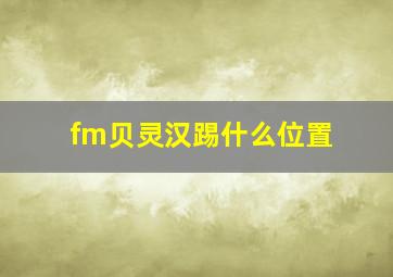 fm贝灵汉踢什么位置