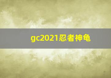 gc2021忍者神龟