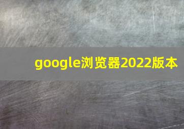 google浏览器2022版本