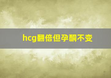 hcg翻倍但孕酮不变