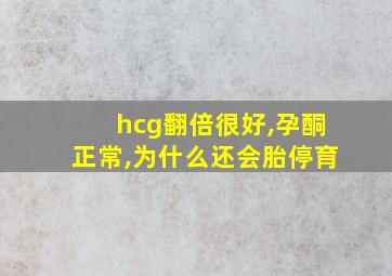 hcg翻倍很好,孕酮正常,为什么还会胎停育