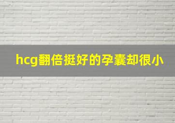 hcg翻倍挺好的孕囊却很小