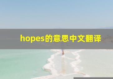 hopes的意思中文翻译