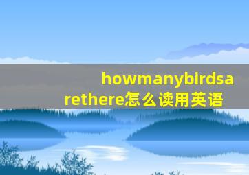 howmanybirdsarethere怎么读用英语