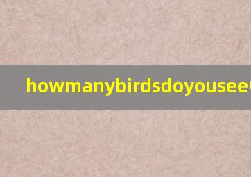 howmanybirdsdoyousee中文翻译