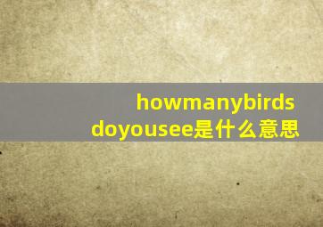 howmanybirdsdoyousee是什么意思