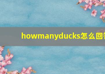 howmanyducks怎么回答