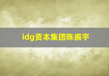 idg资本集团陈振宇