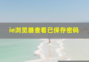 ie浏览器查看已保存密码