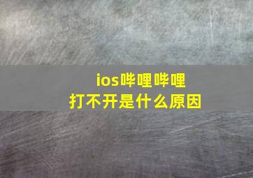 ios哔哩哔哩打不开是什么原因