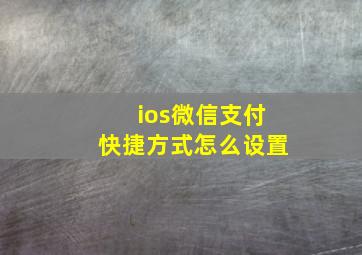 ios微信支付快捷方式怎么设置