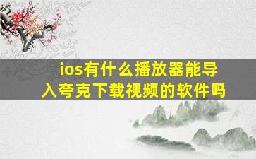 ios有什么播放器能导入夸克下载视频的软件吗