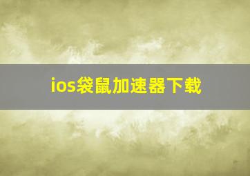 ios袋鼠加速器下载