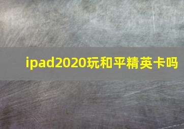 ipad2020玩和平精英卡吗