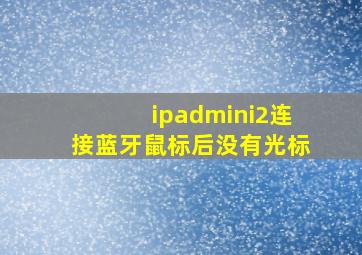 ipadmini2连接蓝牙鼠标后没有光标