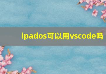 ipados可以用vscode吗